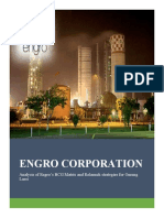 Engro Corporation: Analysis of Engro's BCG Matrix and Relaunch Strategies For Omung Lassi