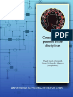 Construyendo Puentes Entre Disciplinas - 2017 PDF