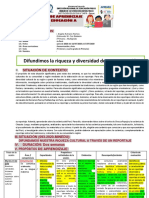 Proyecto Del 13 de Julio Al 17 de Julio