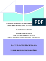 Tese Rubia B. Carneiro 2009.pdf
