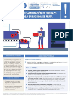 Ficha 20 PDF