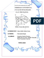 Trabajo Grupal Pa3 Neuropsicologia