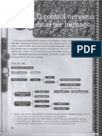 B3. SNp1 PDF