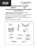Guía 7 - 5º Básico Ciencias Naturales