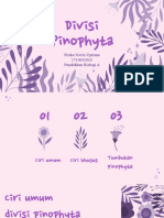 BTT A - Pinophyta - Friska Novia Upriana