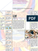 Yaulema Cepeda-Mónica Fernanda - Tarea2-2 Realice Un Mapa Conceptual Sobre Los Artículos 66,67 y 68 de La Constitución PDF