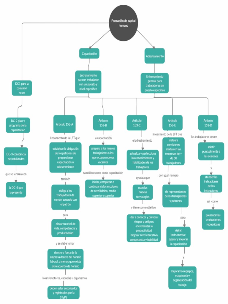 Mapa Conceptual Formación Del Capital Humano | PDF