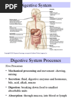 Download Digestive System by Alasdair Macleod SN47105138 doc pdf