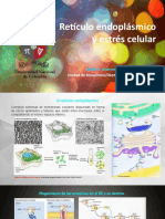 Copia de Reticulo endoplásmico y estrés celular.pptx
