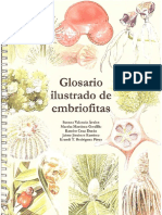 Glosario Ilustrado de Embiofitas (Susana Valencia)-Valencia