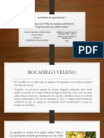 387509722-Evidencia-2-Plan-Manejo-Ambiental.pdf