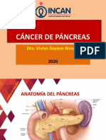 Cáncer de Páncreas: Guía de Diagnóstico y Tratamiento