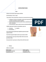 Anatomía del retroperitoneo y sus estructuras clave