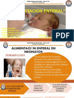 Alimentacion Enteral