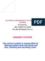 Anatomy & Physiology of The Urinary System.: Presented By:-Mr. Saihou Sanneh RN, RM, BSN&RH, Fwacn