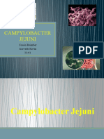 Campylobacter Jejuni Cossio Roimber Acevedo Kevin Curso 1101 Alimentos Diapositiva