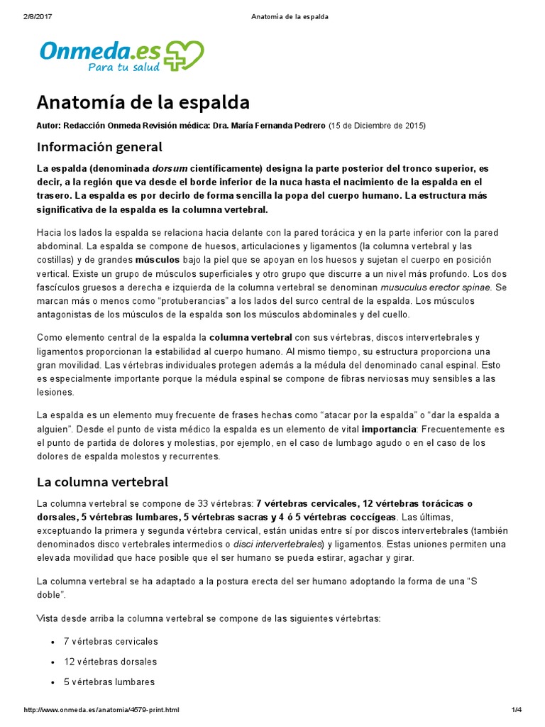 Anatomía de La Espalda | PDF | Vértebra | La columna vertebral