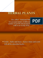 Herbal Plants With Tagalog
