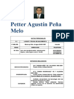 Curriculo - Petter Peña