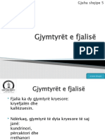 Gjymtyrët e Fjalisë