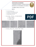 Desarrollo Del Trabajo N°1 de Algebra L PDF