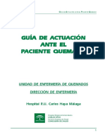 Guia de actuacion ante el paciente quemados.pdf