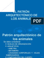 SESION 2.  EL PATRÓN ARQUITECTÓNICO DE LOS ANIMALES.pptx