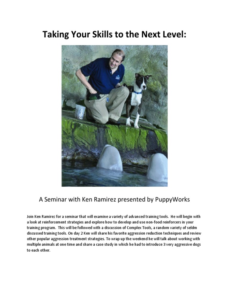 Taking Your Skills To The Next Level Featuring Puppyworks. Seminar by