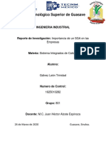 REPORTE DE INVESTIGACION (IMPORTANCIA SGA)