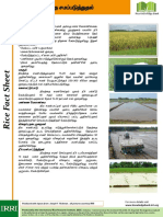 Rice Knowledge Bank: Produced With Inputs From: Joseph F. Rickman, All Pictures Courtesy IRRI