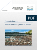 Aymane El Ansari-Ocean Pollution