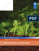 015_Measuring Capacity_Spanish.pdf