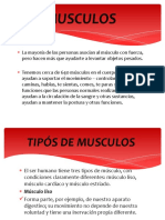 Tejidos Muscular