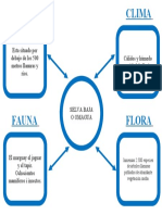 Altitud, Clima, Fauna, Flora Mapa