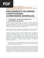 Formulario Recurso de Amparo Constitucional | PDF | Tribunales | Gobierno