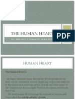 The Human Heart: By: Melody T.Tamonte, M.Ed, LPT