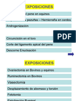 Index Exposiciones