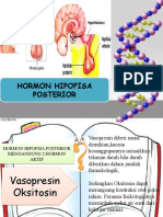 Hormon Hipofisa Posterior
