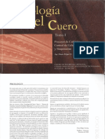 8_Tecnologia CUEROS LECTURA.pdf
