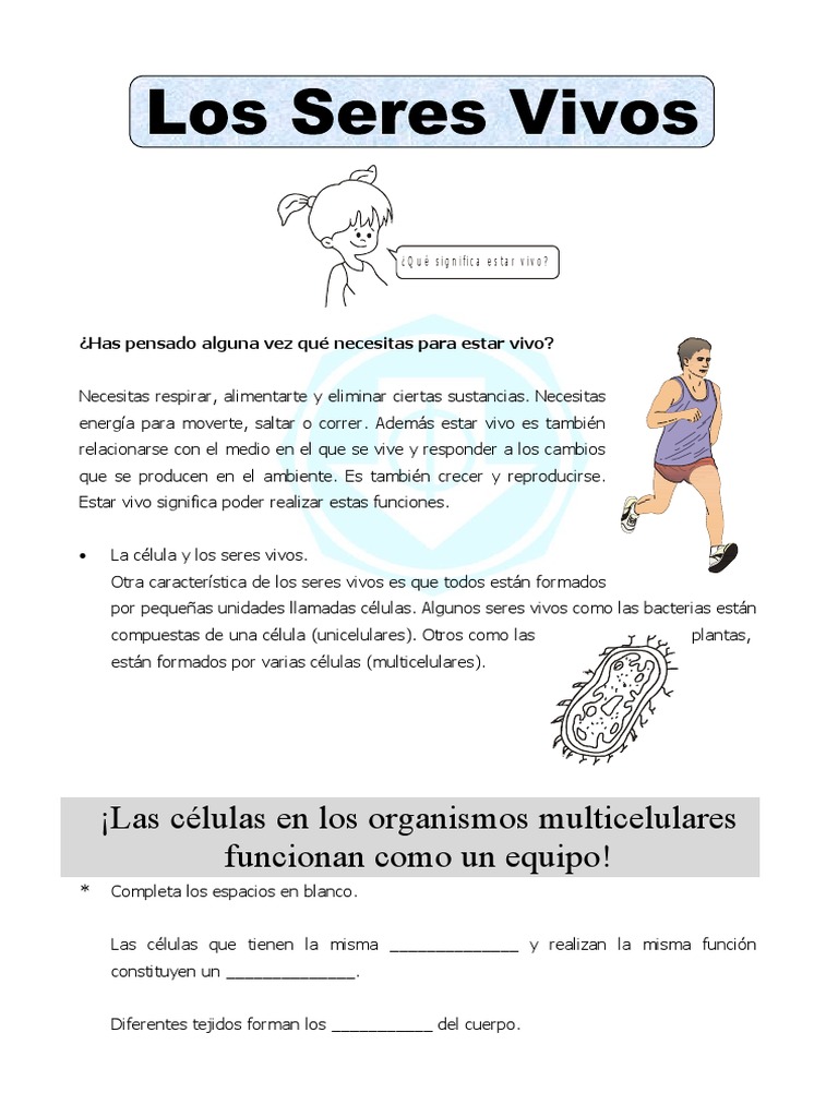 Ficha Seres Vivos para Cuarto de Primaria | PDF | Organismos | Plantas