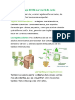 Diario de trabajo CCNN martes 25 de Junio