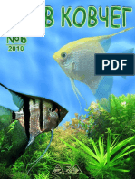 Ноев Ковчег 2010-06 PDF