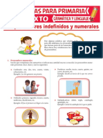 Resume de manera concisa el tema tratado en el documento, que son los pronombres indefinidos y numerales en español