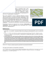 Protonema PDF