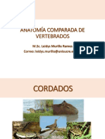 Antomía Comparada