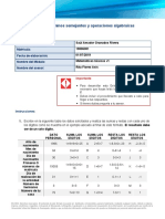 Granados_Rivera_Saul_Amador_formato_términos_semejantes_V.2.docx