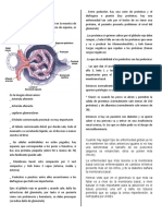 Clase 3 de Renal - FINAL