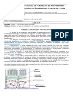 04 Aula programada Biologia Turma 21N Profa Sandra Polino 15 a 30 de junho