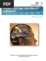 Capitulo 3 Sensacion y Percepcion Sesion 7