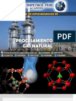 Session 2 - Procesamiento de Gas Natural_CLASE 2.pdf